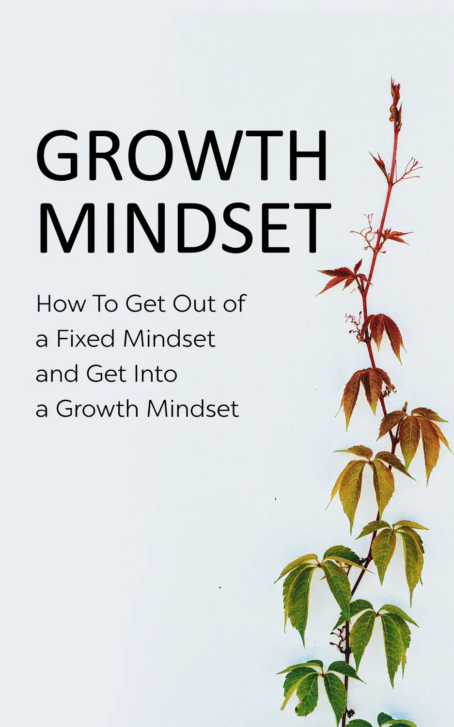 Master Your Mind