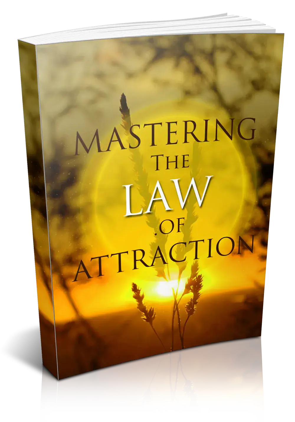 Mastering The Law Of Attraction
