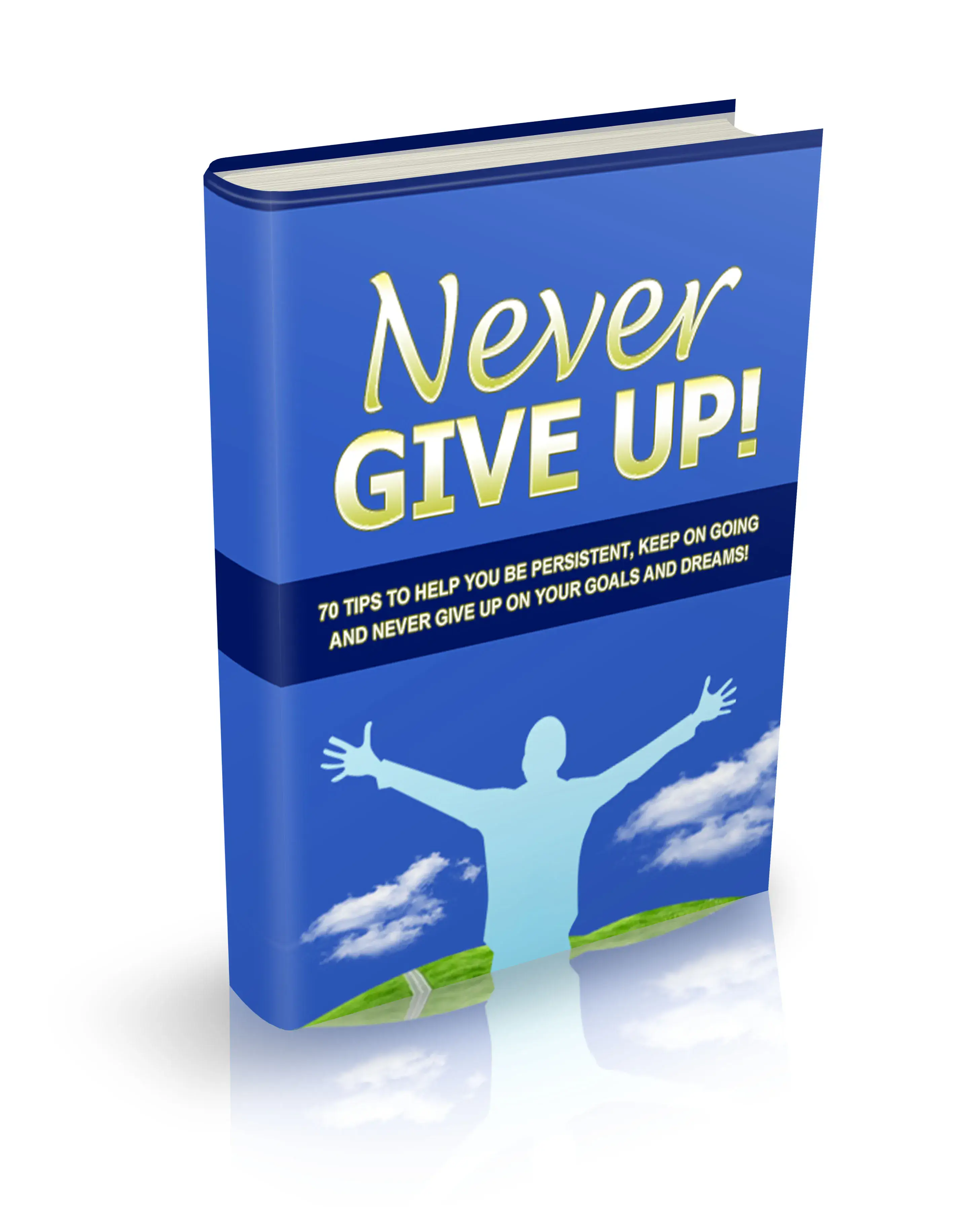 Never Give Up