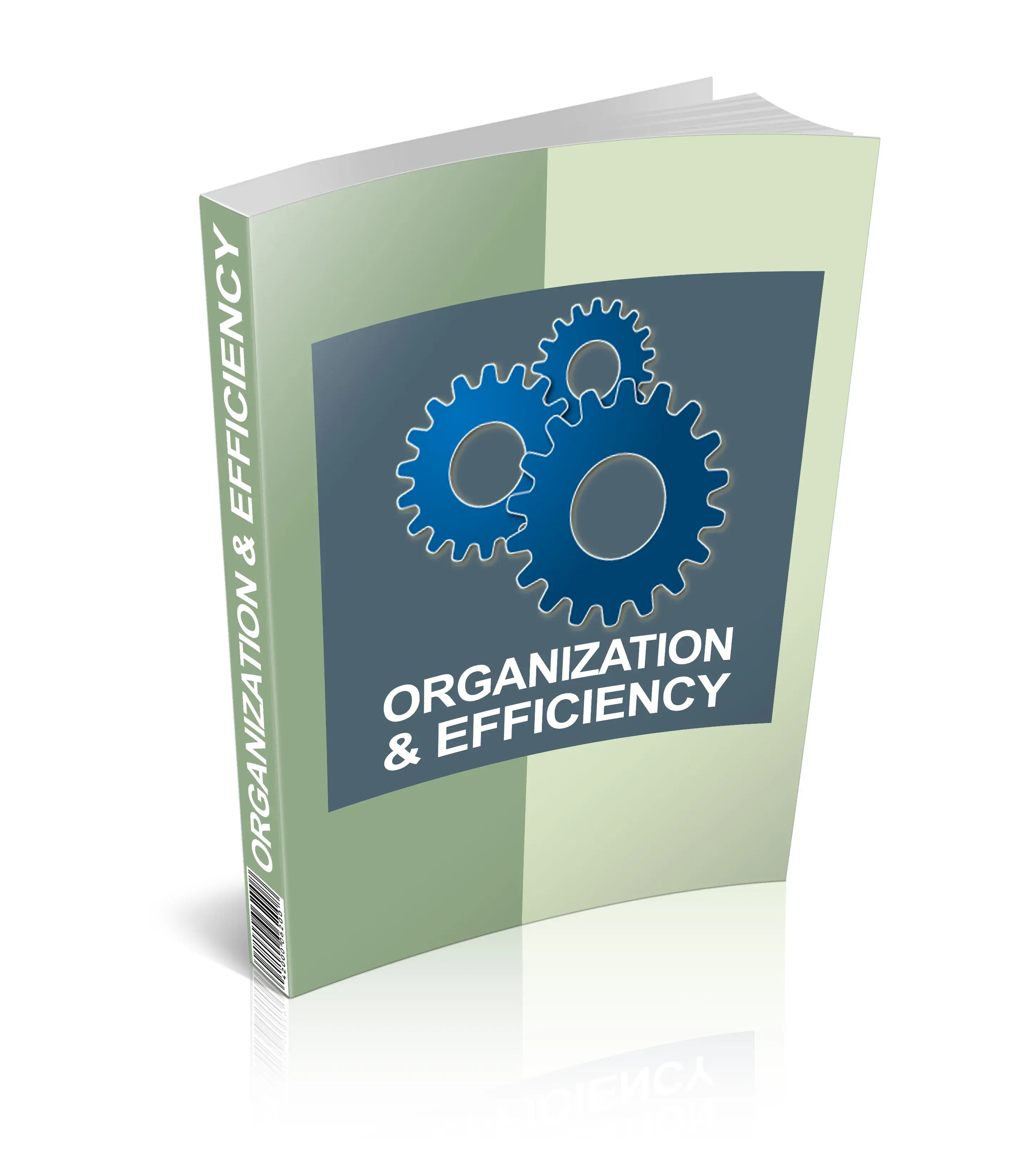 Organization And Efficiency