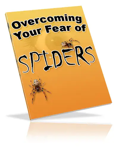 Overcoming Your Fear Of Spiders
