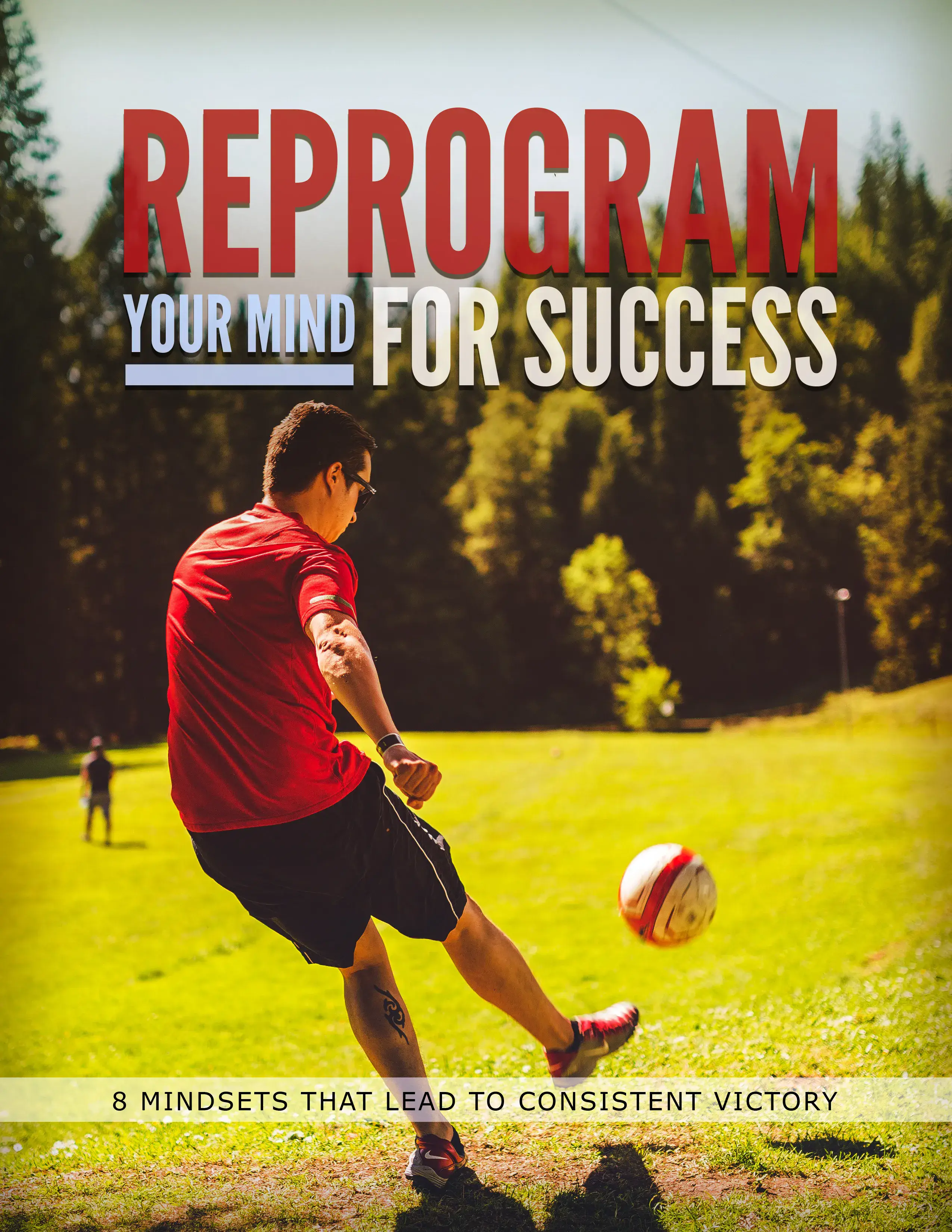 Reprogram Your Mind For Success