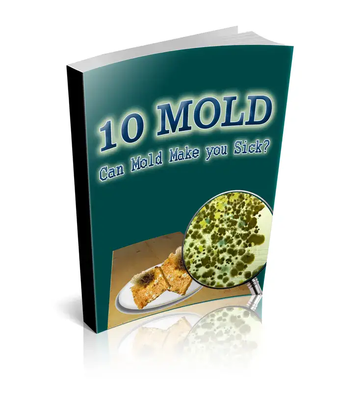 10 Mold