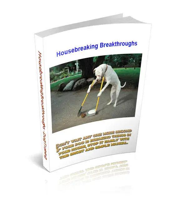 House Breaking Breakthroughs