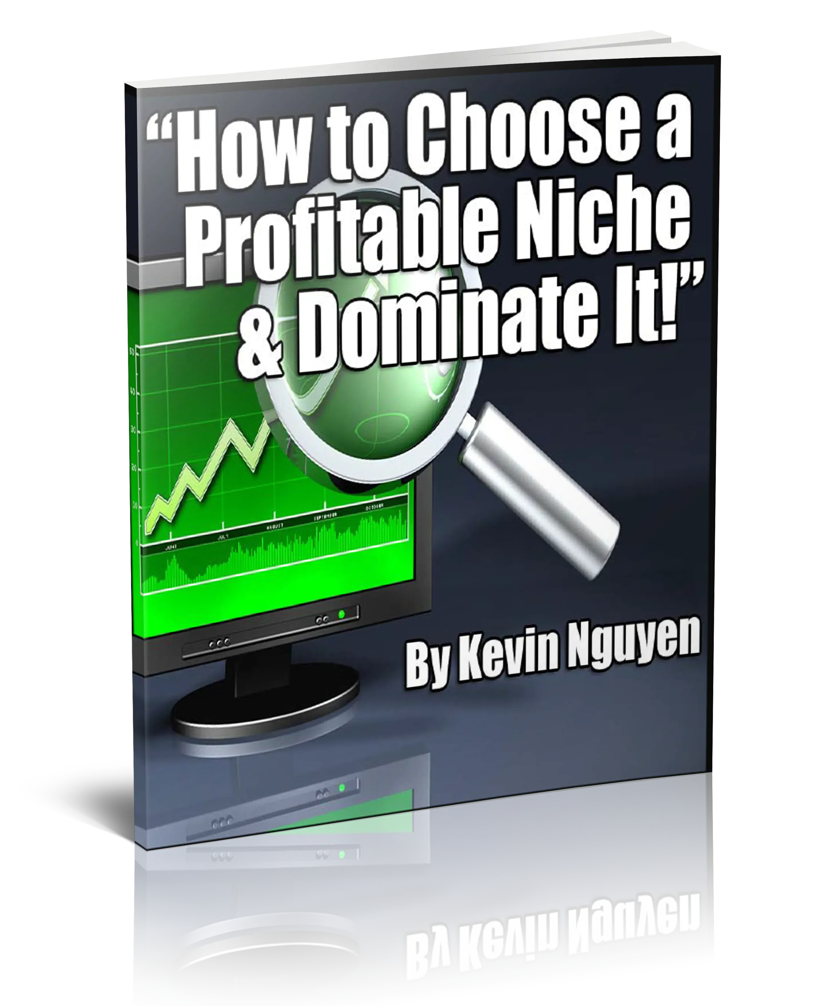 How To Choose A Profitable Niche And Dominating It