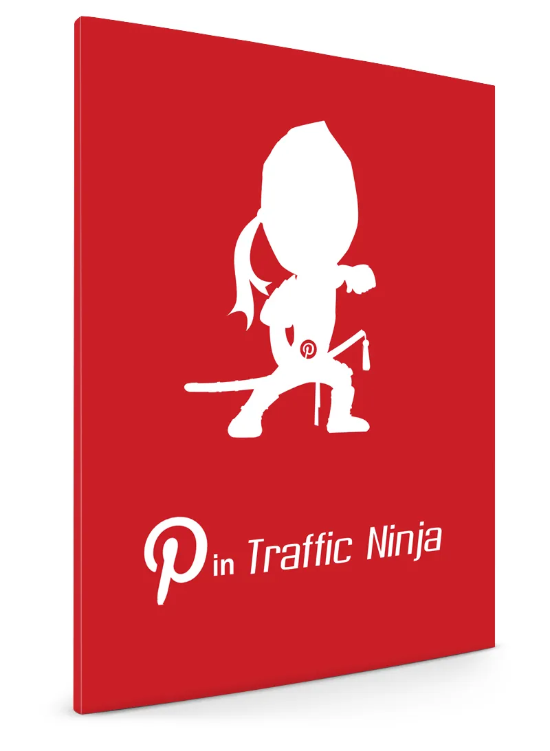Pin Traffic Ninja