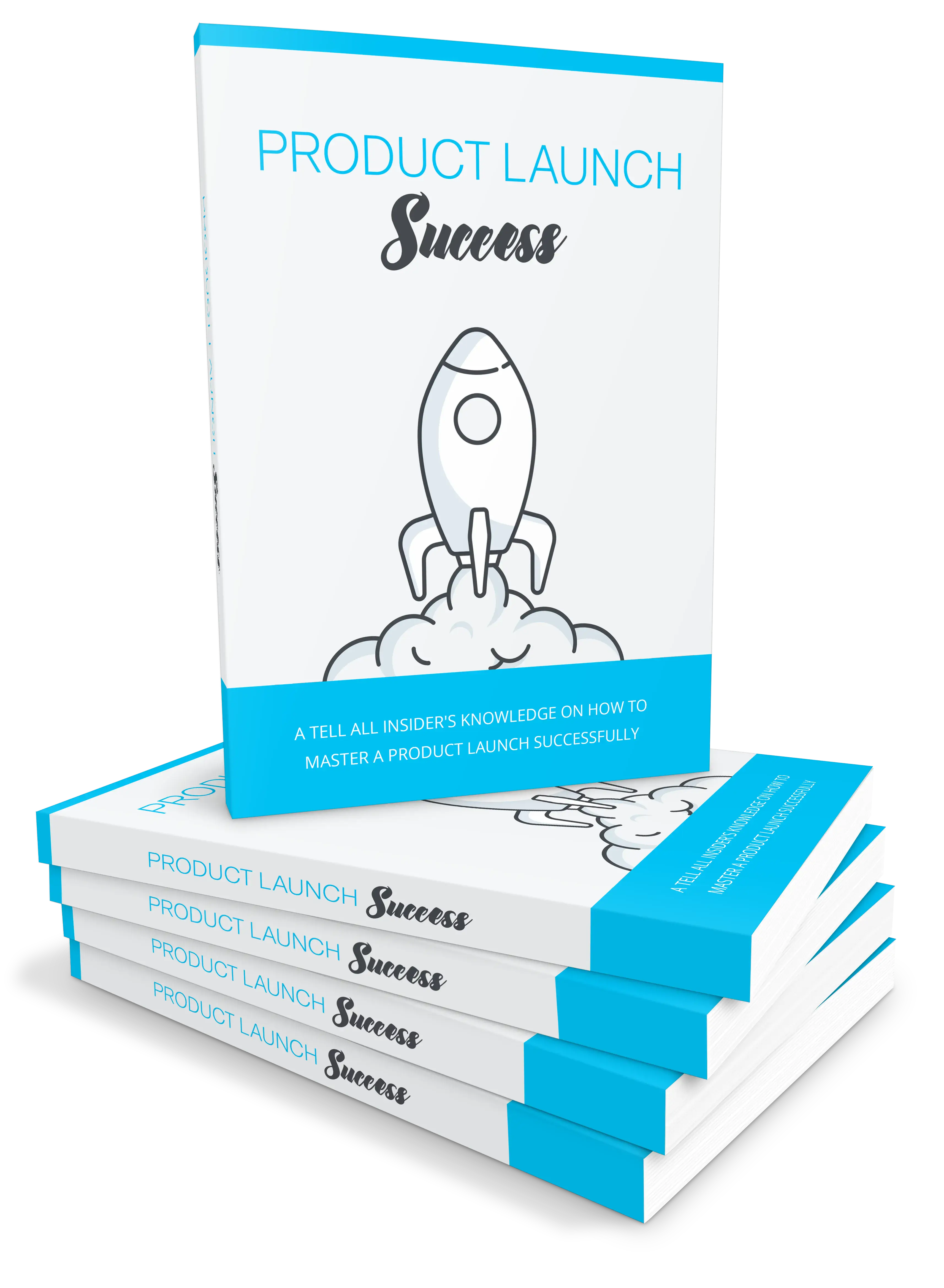 Product Launch Success