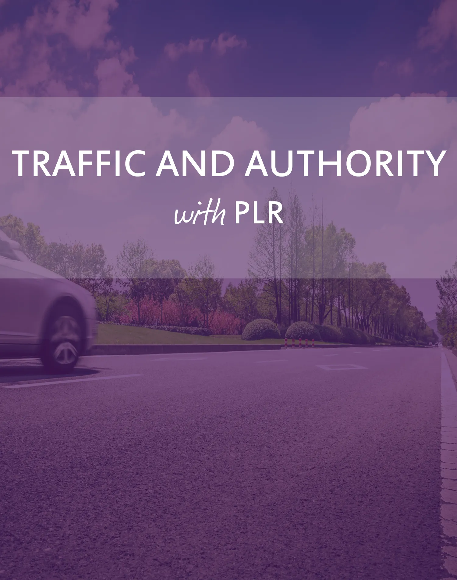 Traffic And Authority With Plr