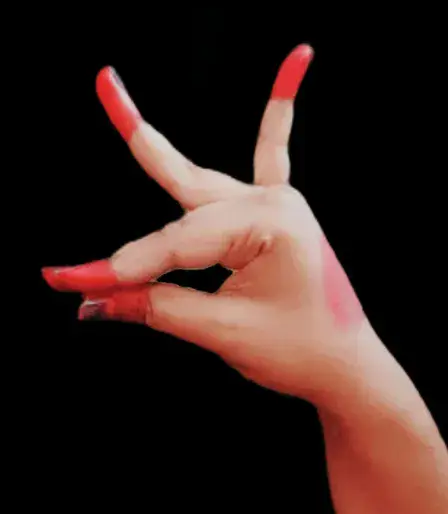 I will teach you abhinaya and all type of mudra of bharatanatyam
