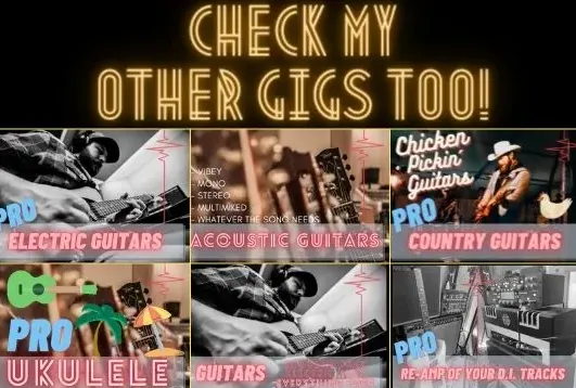 I will record professional acoustic guitars for your song