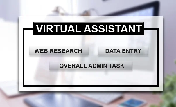 I will be your virtual assistant for data entry, web research and overall admin task