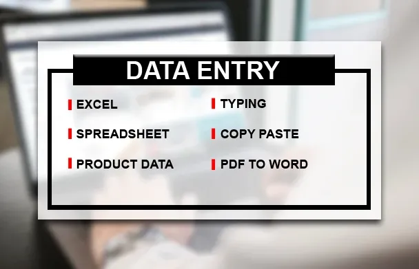 I will be your virtual assistant for data entry, web research and overall admin task