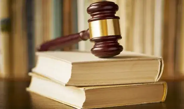 I will manually translate any business or legal document professionally