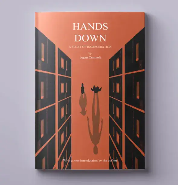 I will illustrate a professional book cover for you
