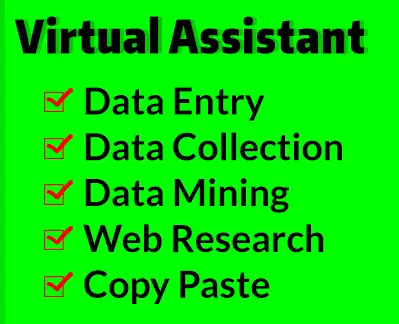 I will be your virtual assistant for data entry, typing, copy paste and web research