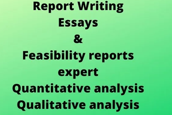 I will do quantitative analysis professional reports