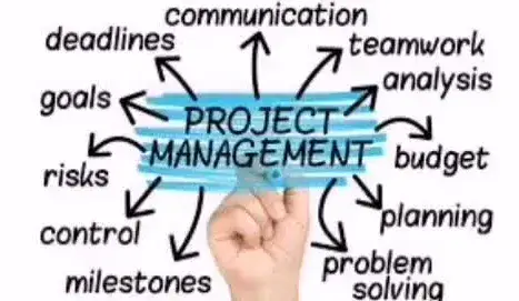 I will work on project management tasks for you