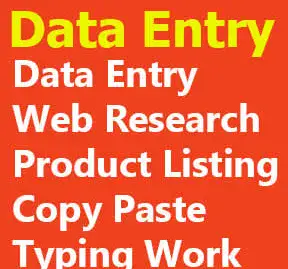I will do data entry, copy paste and excel data entry work for you