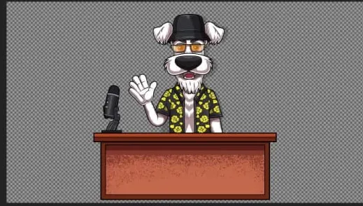 I will create an adobe character animator puppet rig