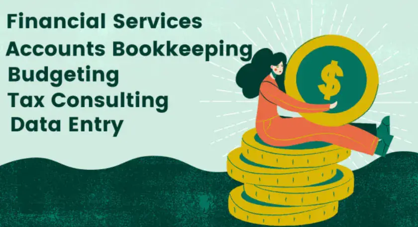 I will consult on basic level finance and accounting tasks