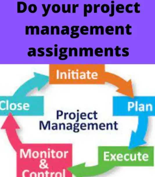 I will do your project management assignments