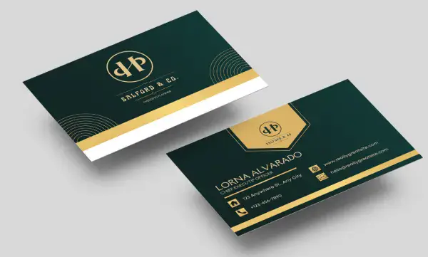 I will design an eye catchy business card for your business