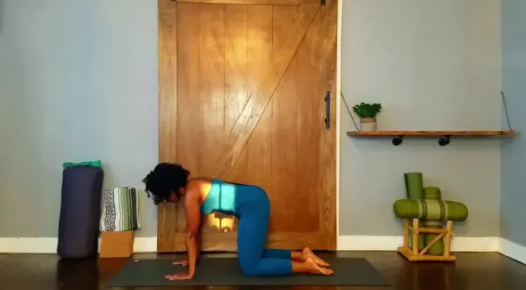 I will provide 74 beginner and intermediate yoga videos