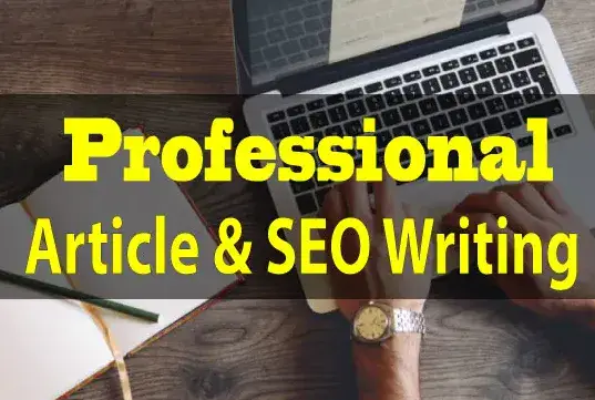 I will do SEO article writing in 24 hours