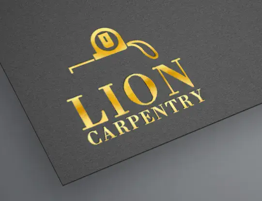 I will design modern  business logo design for you