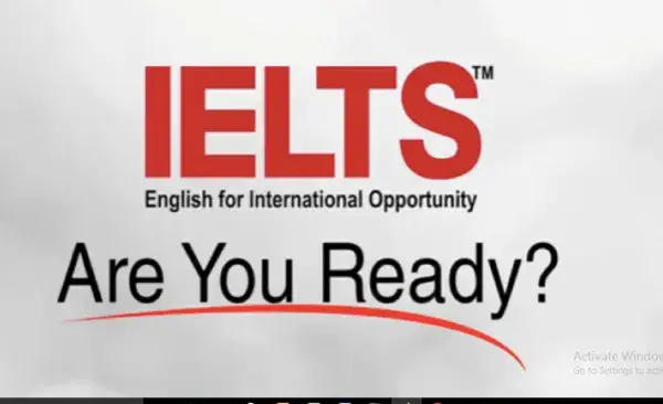 I will provide personalized ielts writing lessons and give feedback