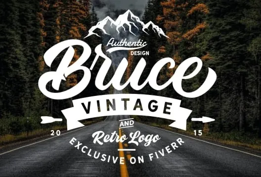 I will design vintage retro minimalist business logo