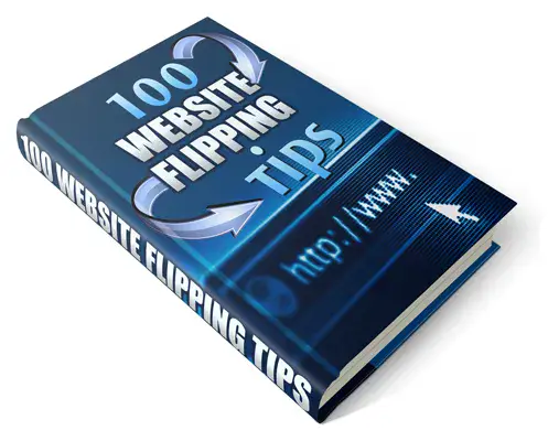 100 Website Flipping Tips