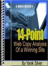 14 Point Web Copy Analysis