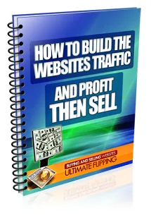 Build The Websites Traffic And Profit Then Sell