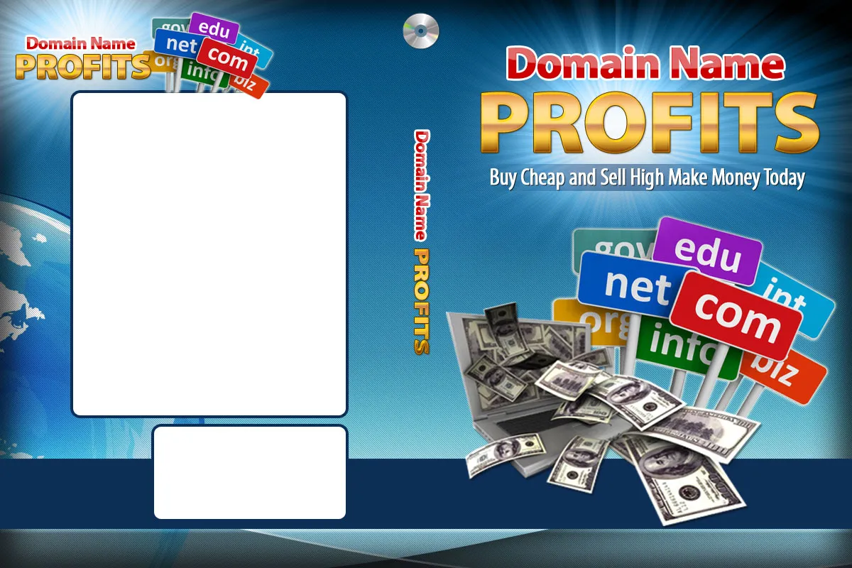 Domain Name Profits