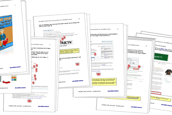 The Newbie Toolkit How To Get And Promote Your First Affiliate Products