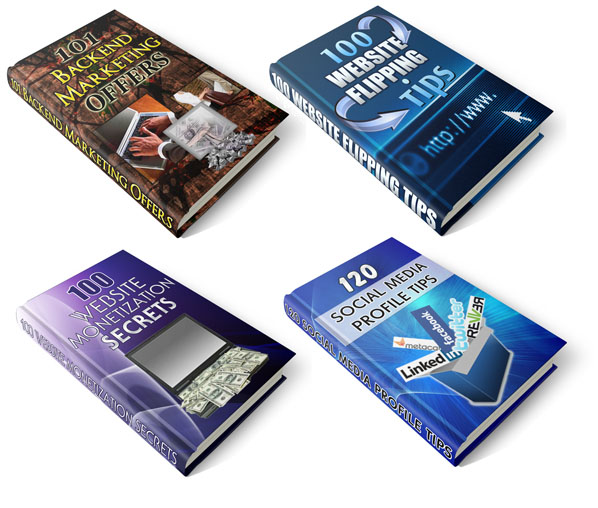 Webmasters 100 PLR Series