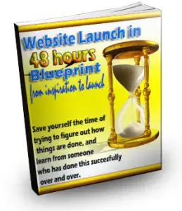 Website Launch In 48 Hours Blueprint
